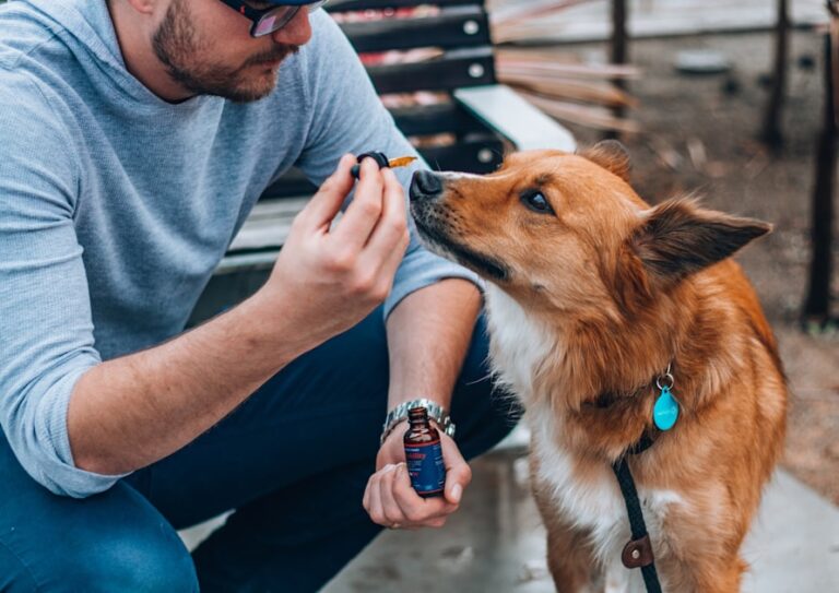Insights into the Pet Industry